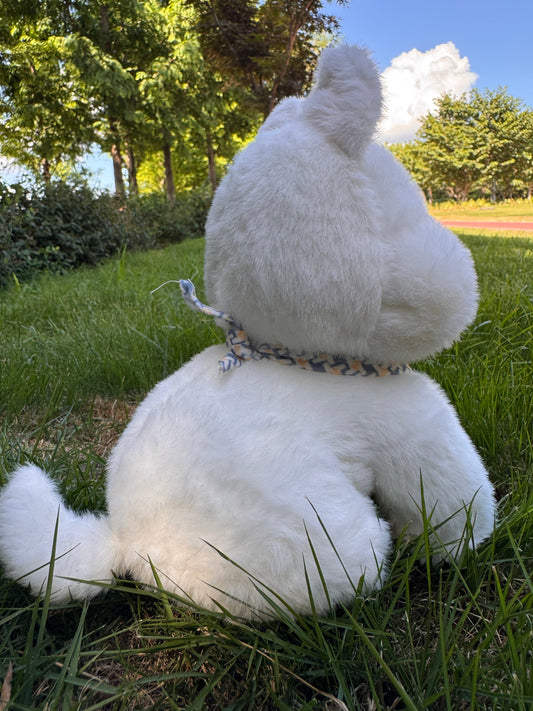 🧸 Plush Toy Trends Worth Knowing